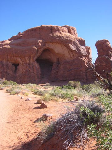 Photograph