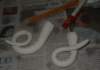 Photo Number 4
